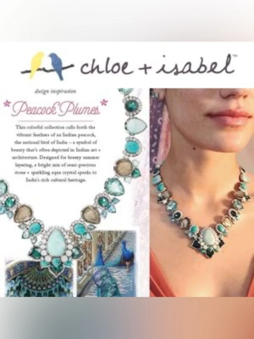 Chloe + Isabel Peacock Plumes Turquoise & Crystal Collar Necklace & Bracelet Set